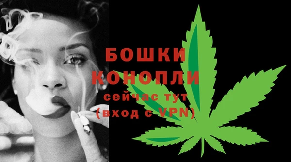 скорость Вяземский