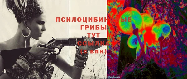 скорость Вяземский